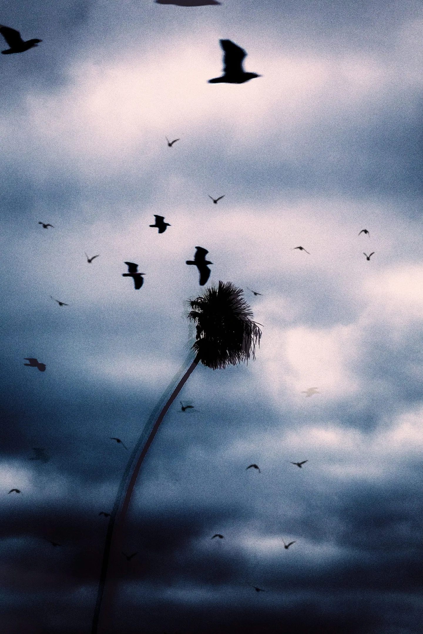 jack-antal-1093821-unsplash