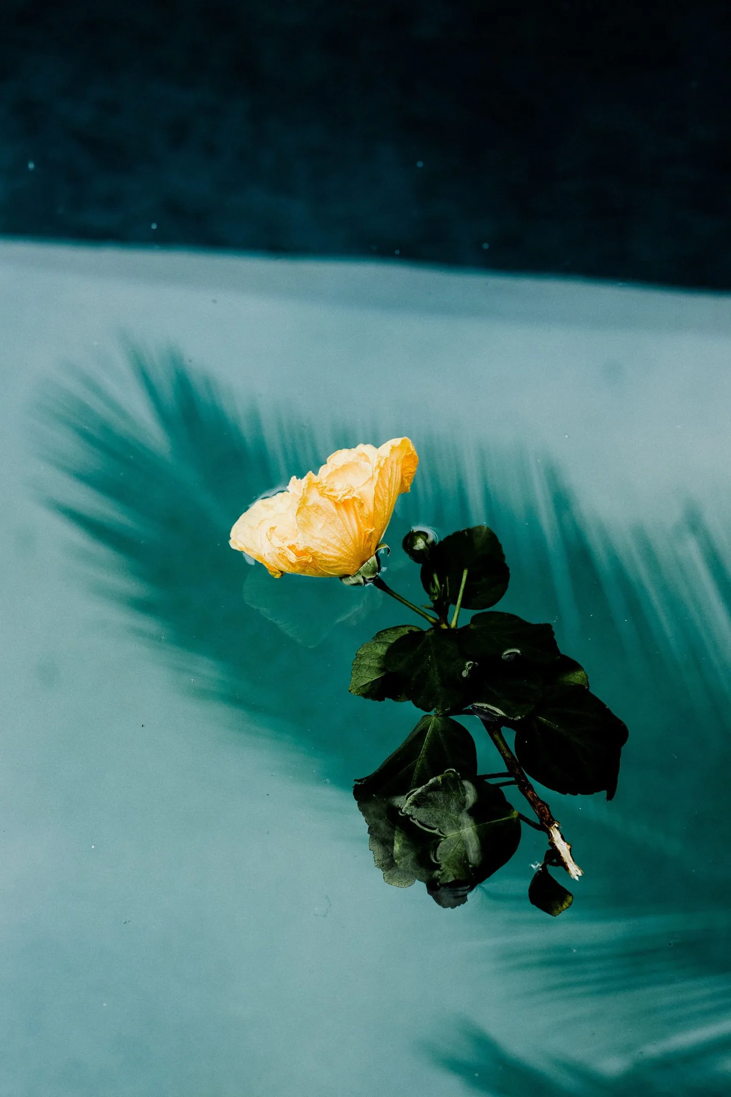 jack-antal-1234001-unsplash
